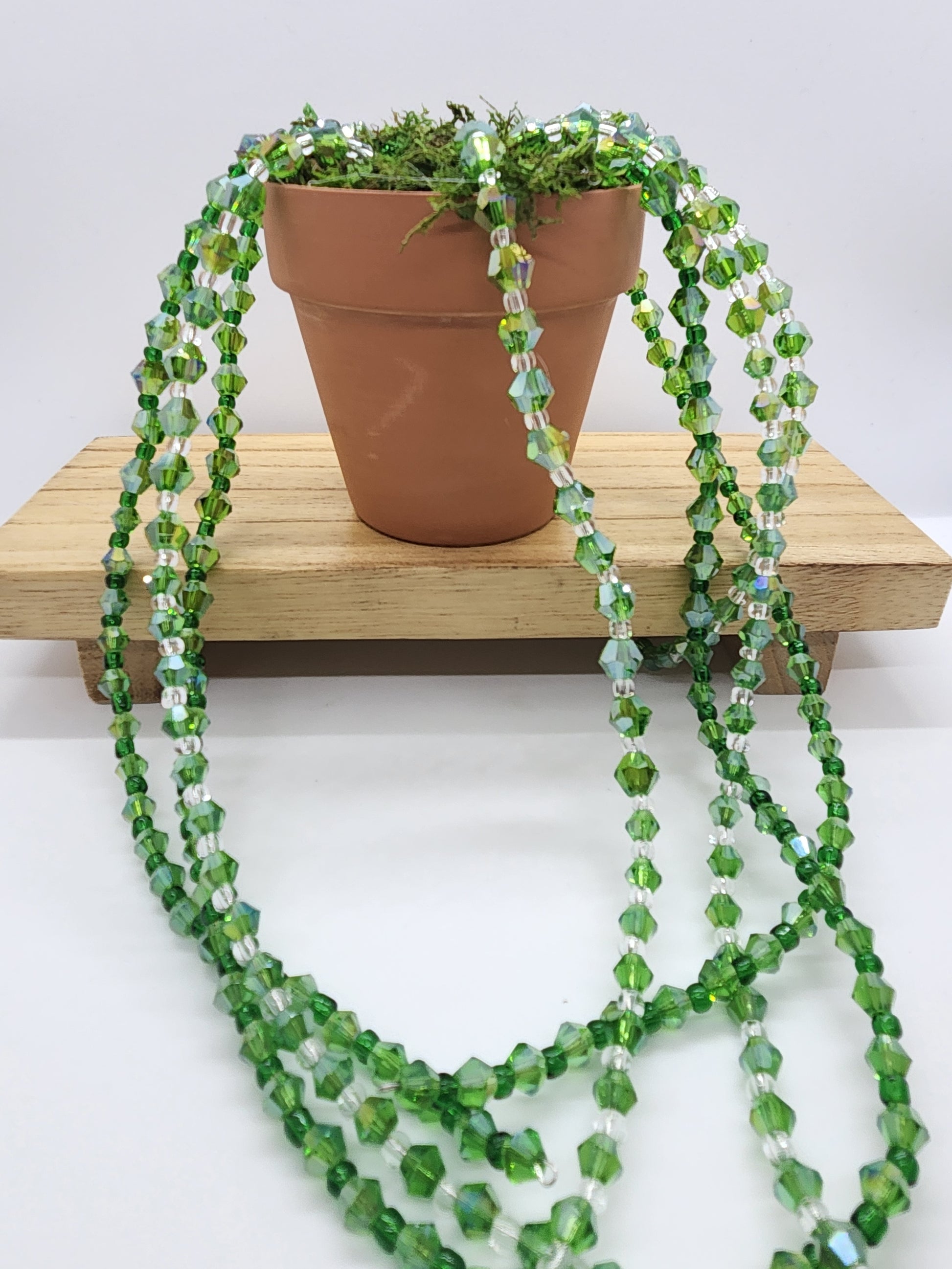 Bead Plant Forever Succulent String of Pearls Hanging Beaded Plant