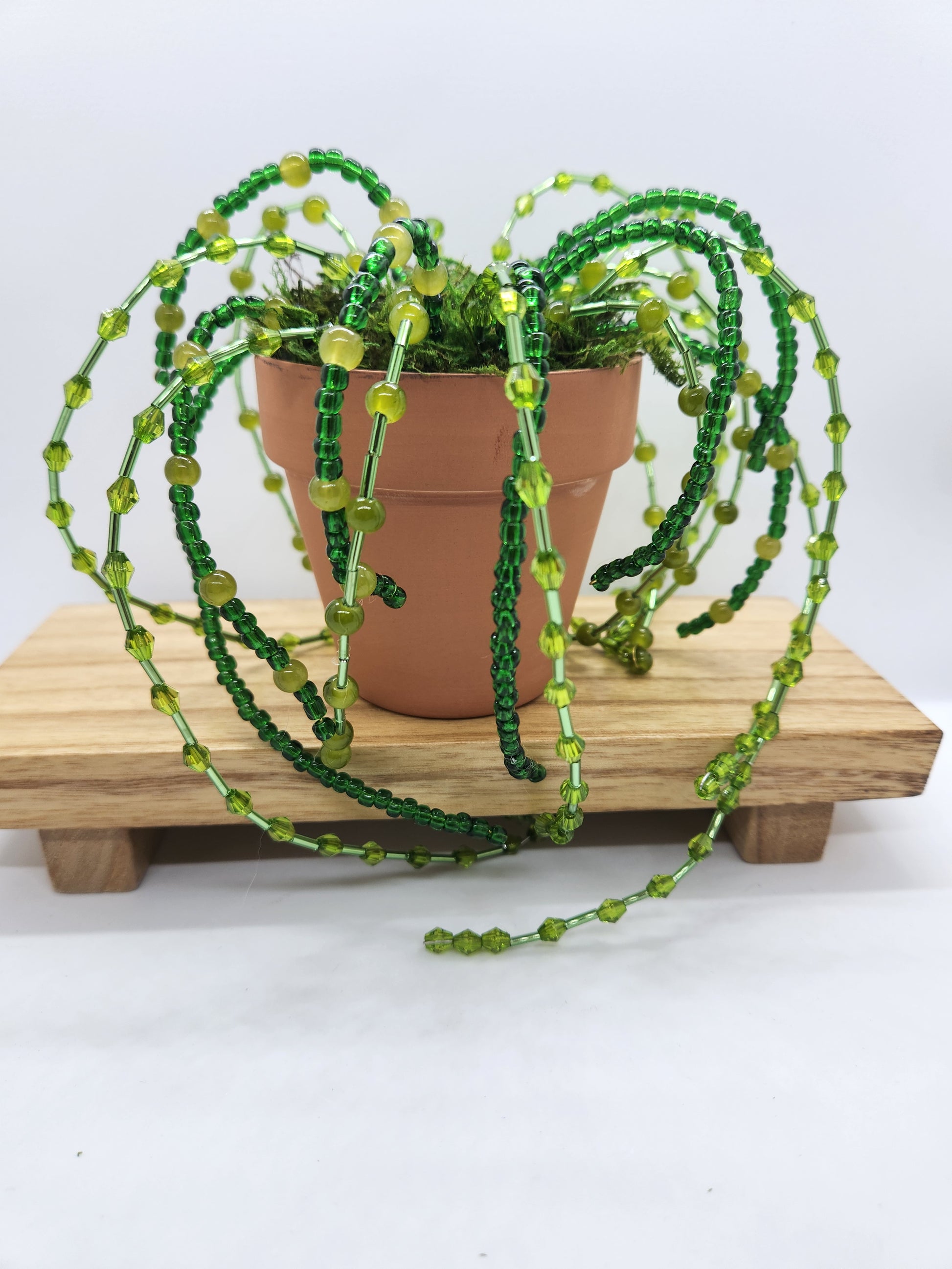 Beaded Spider Plant Faux Bead Plant