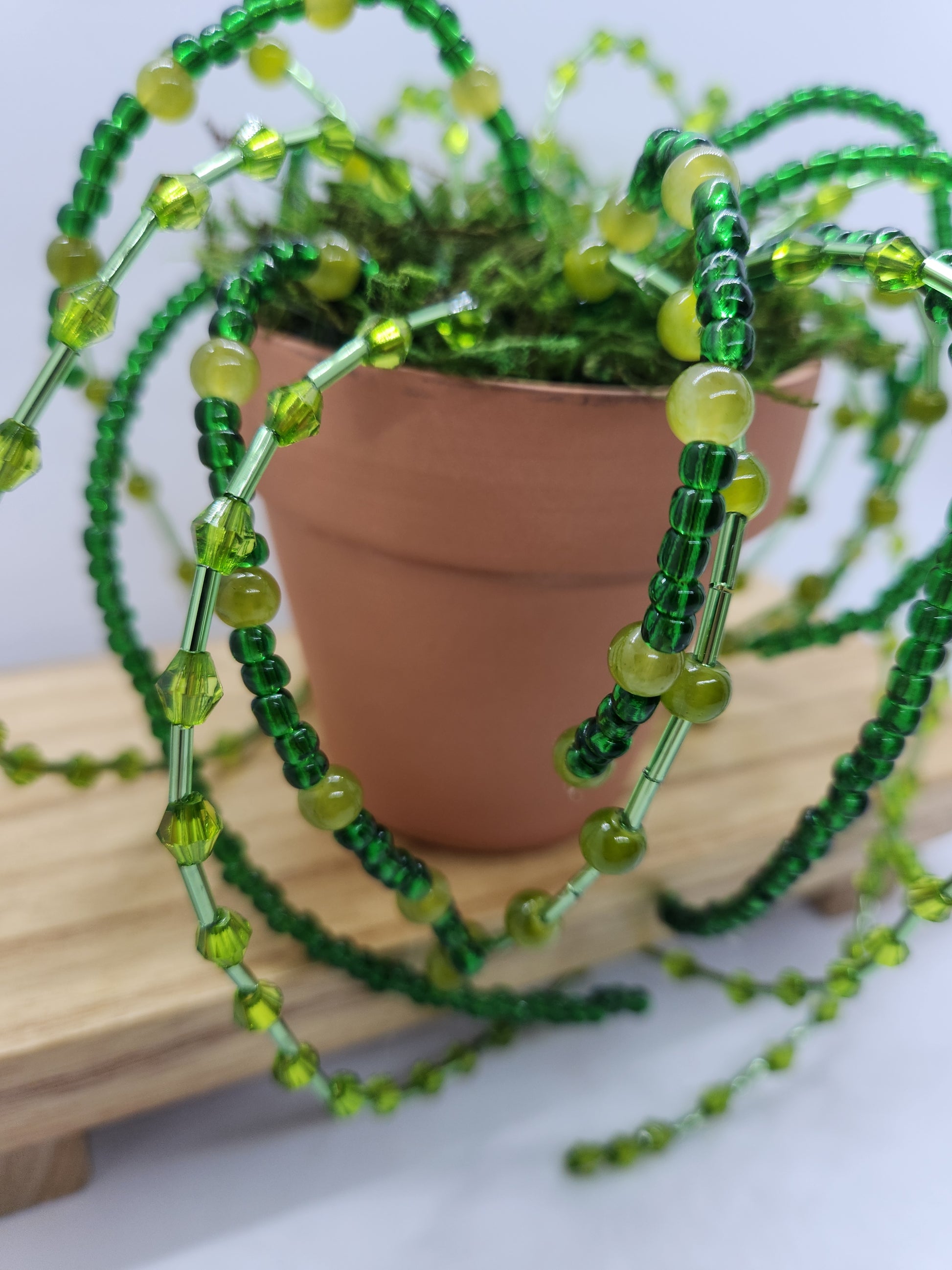 Beaded Spider Plant Faux Bead Plant