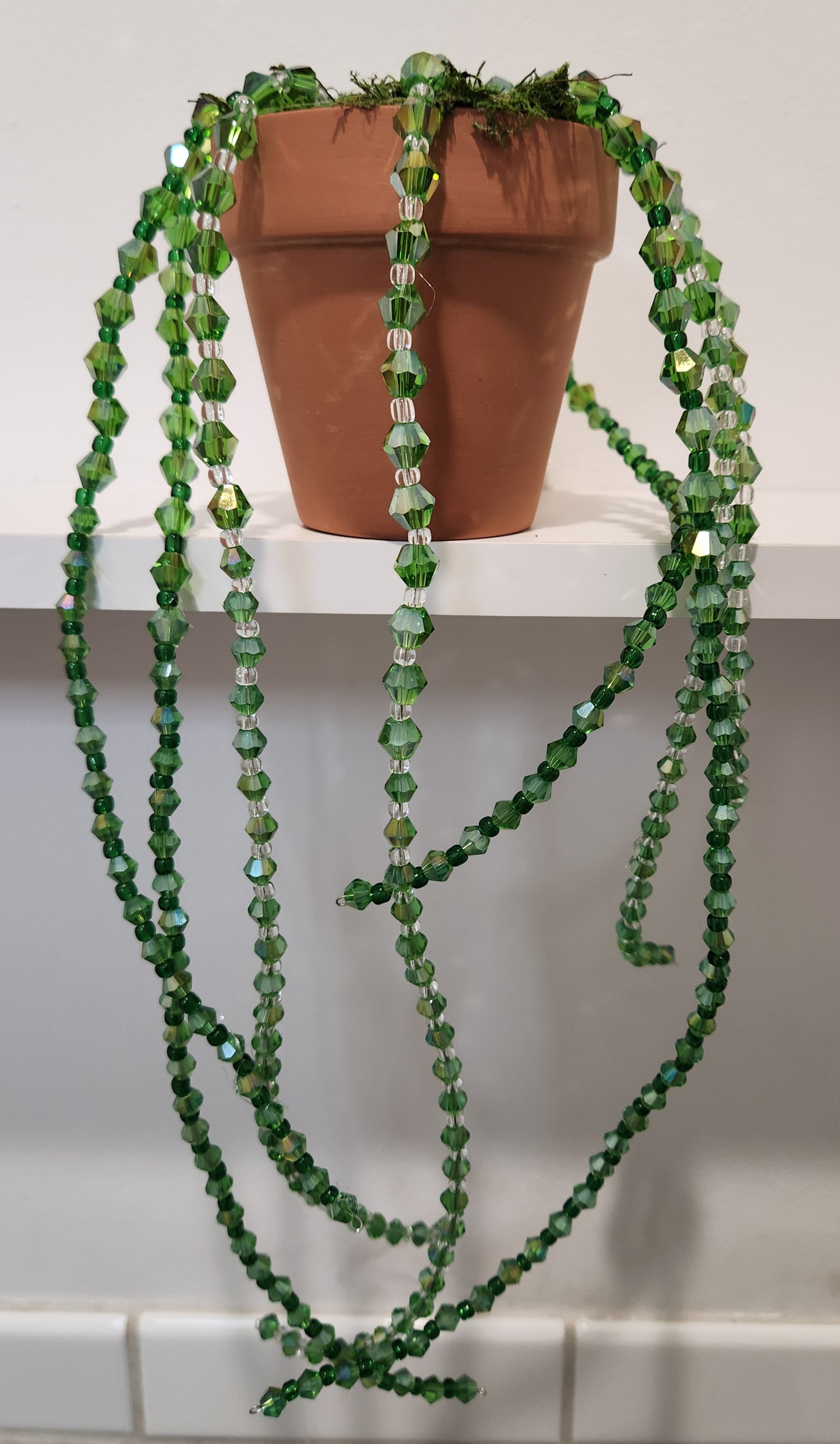 Bead Plant Forever Succulent String of Pearls Hanging Beaded Plant