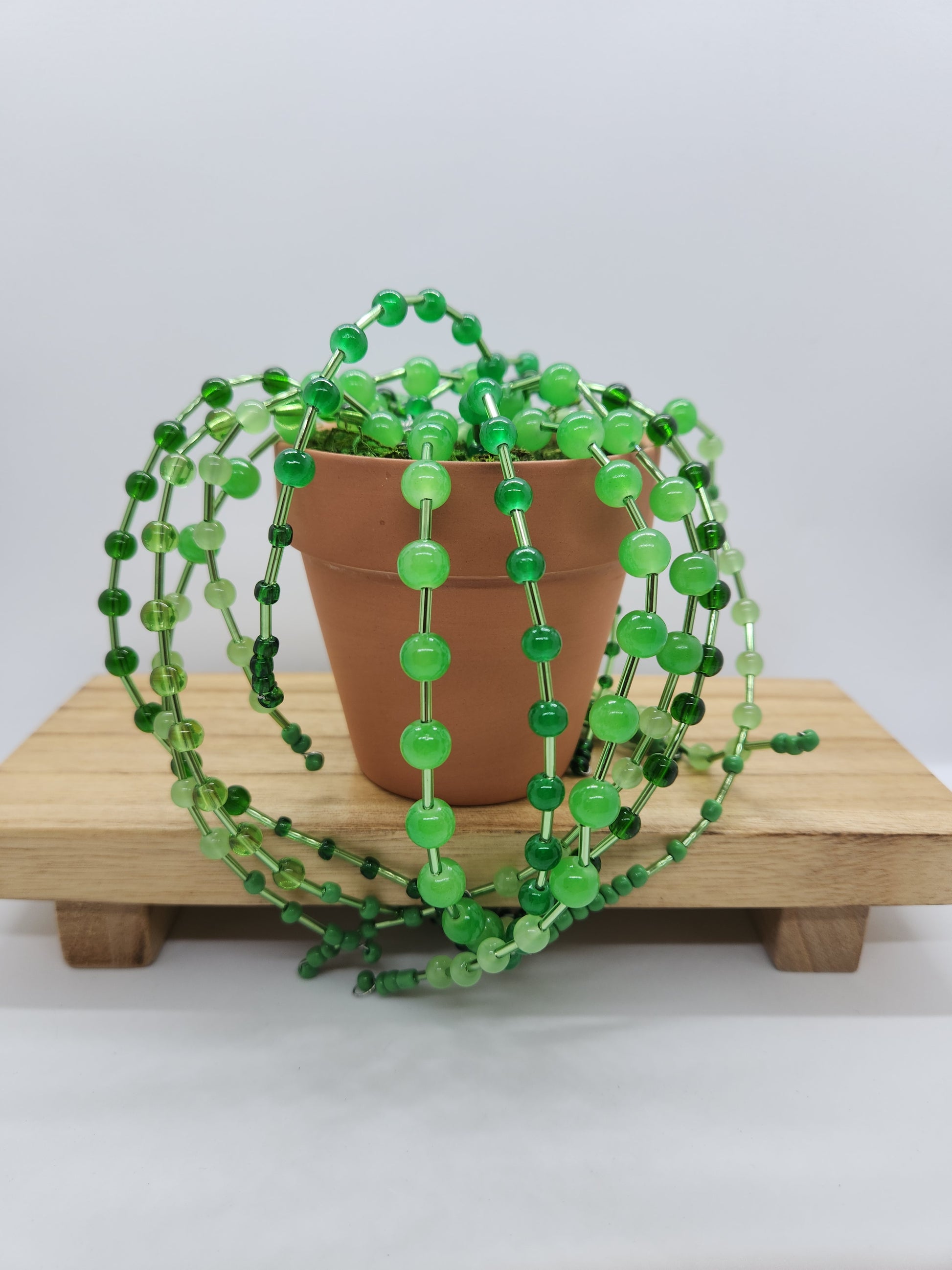 Beaded Plant Forever Plant Faux Succulent Bead String of Pearls