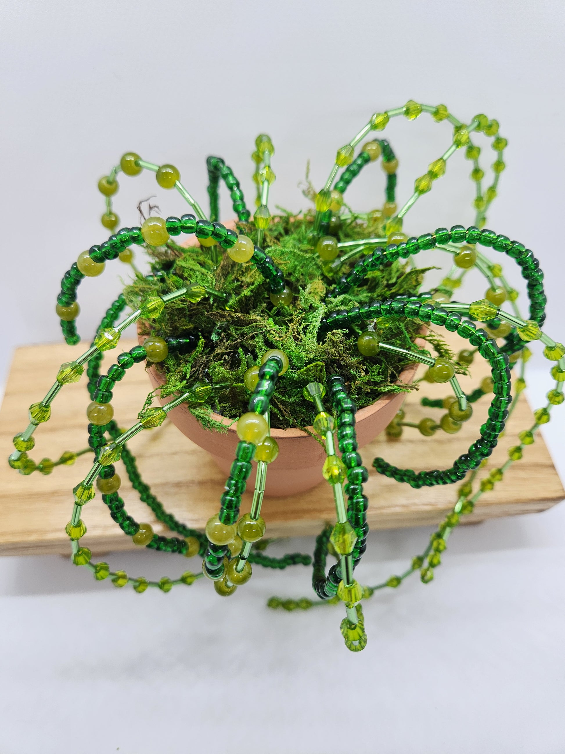 Beaded Spider Plant Faux Bead Plant